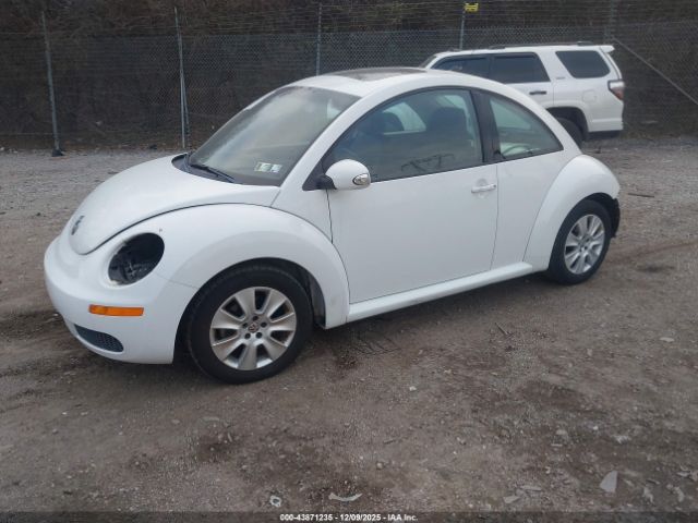 Volkswagen Beetle 2.5l Image 17