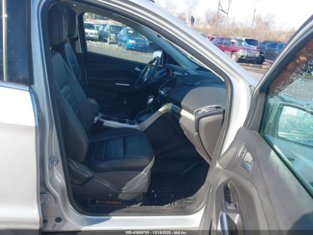 Ford Escape Sel Image 3