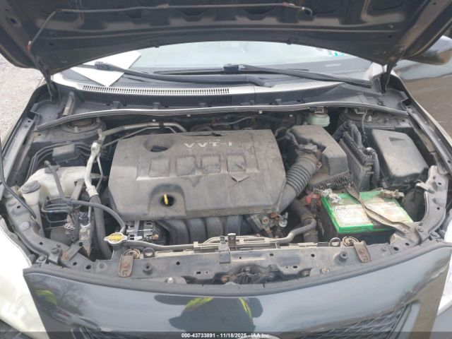 Toyota Corolla Le Image 10