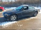 Dodge Charger Se Image 2