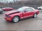Ford Mustang Image 7