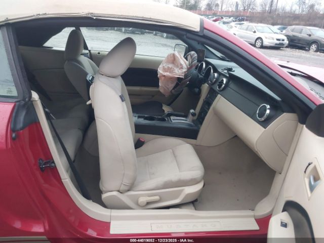 Ford Mustang Image 8