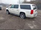 Cadillac Escalade Standard Image 2