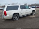 Cadillac Escalade Standard Image 9