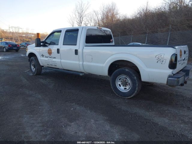 Ford F-250 Xl Image 7