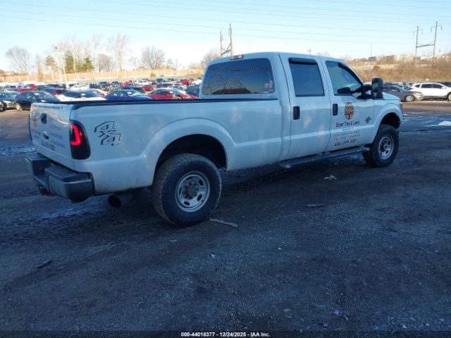Ford F-250 Xl Image 10