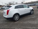 Cadillac SRX Luxury Collection Image 6