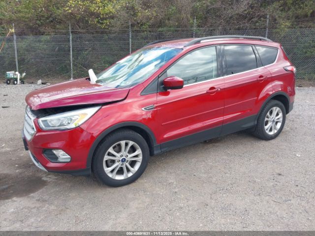 Ford Escape Sel Image 17