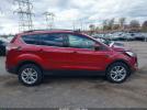 Ford Escape Sel Image 5