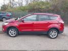 Ford Escape Sel Image 7