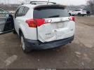 Toyota RAV4 Limited Image 11