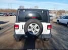 Jeep Wrangler Sport S 4x4 Image 12