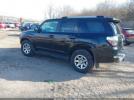 Toyota 4Runner Trail Image 3